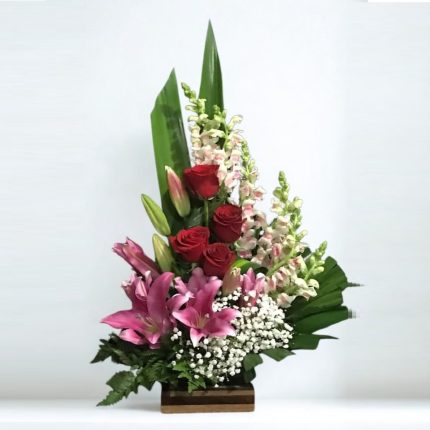 Orchid Harmony