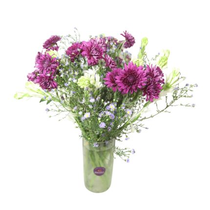 White Mist & Violet Bloom